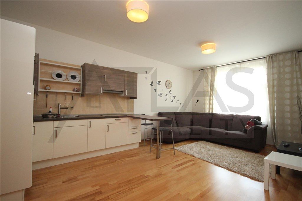 5281505-IMG_9130 (1)