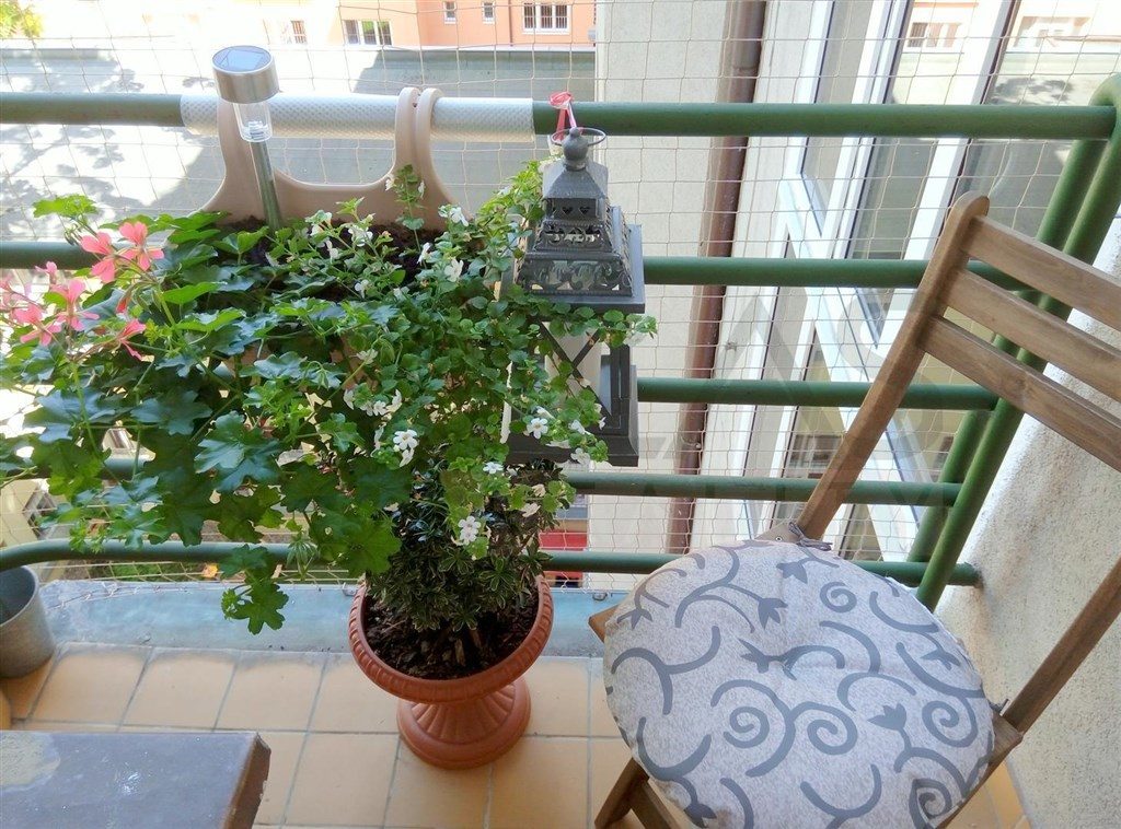 5865928-P60801-144447