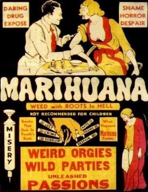 Propaganda proti marihuaně se začala objevovat ve 1930. letech XNUMX. století, často se soustřeďovala kolem konopí způsobujícího ztrátu morálky a hodnot, kromě více rasistických návrhů, které konopí uváděly, že bílé ženy chtěly být s černými muži (Zdroj: Ohio marihuanová karta)