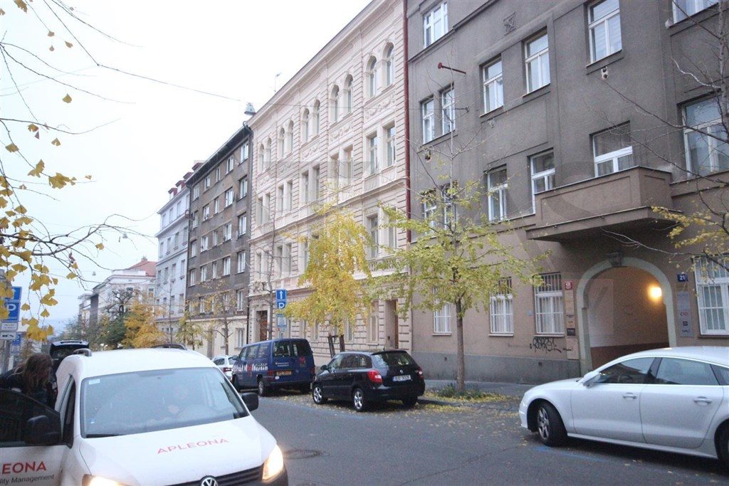 7413691-IMG_8951