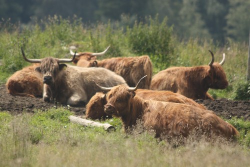 průměrná slovinská farma těsně pod 5 hektarů zemědělské půdy